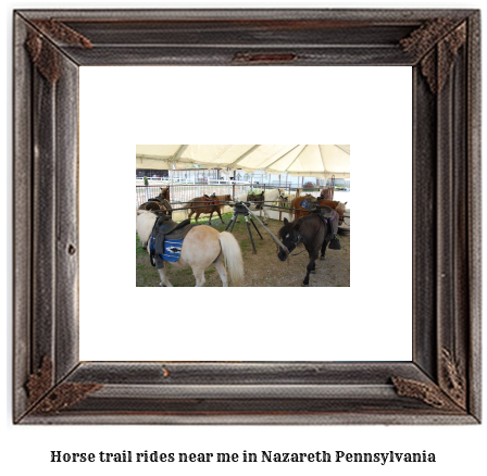 horse trail rides near me in Nazareth, Pennsylvania